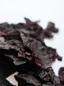 Dulse-seaweed