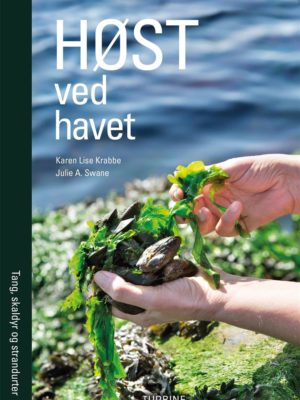 ”Høst ved havet”