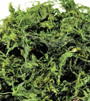 Atlantic Spirulina (Ulva Spiralis) organic certified 250g.